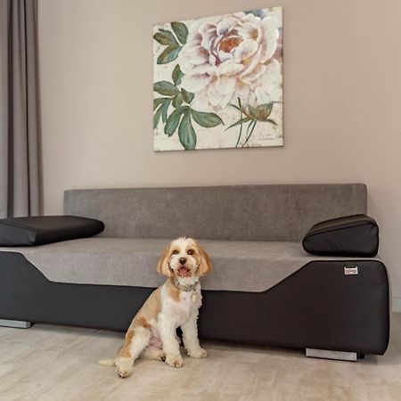 Maya Panzio-Rezidencia Szeged Extérieur photo