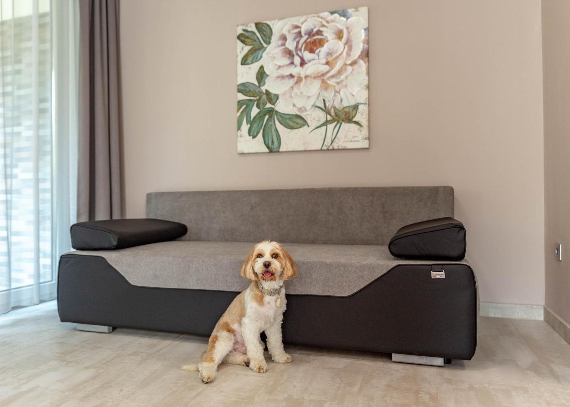 Maya Panzio-Rezidencia Szeged Extérieur photo